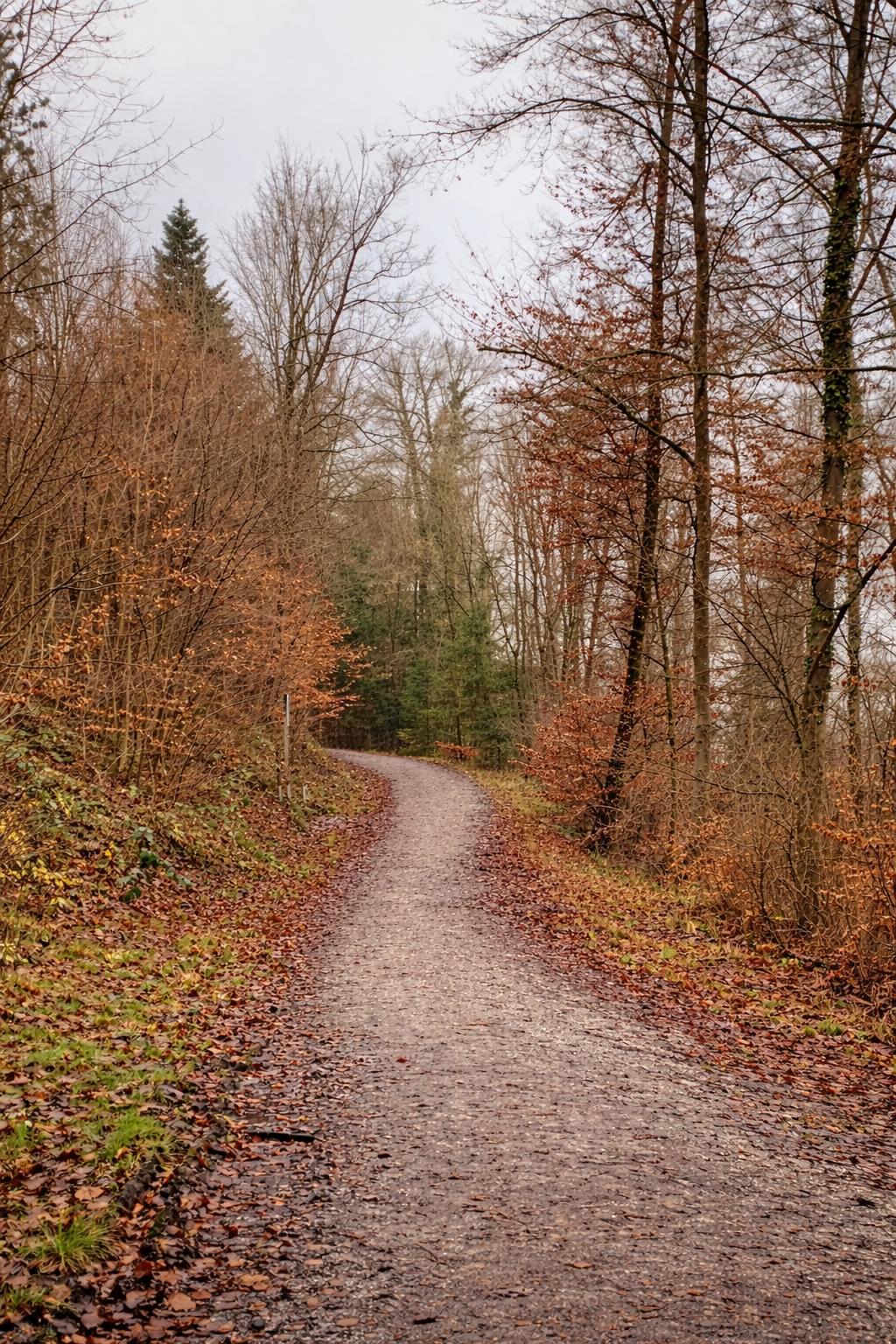 Was passiert bei Mamani